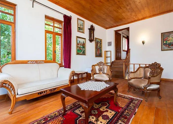 Zeytinli Tas Ev Apartament Izmir